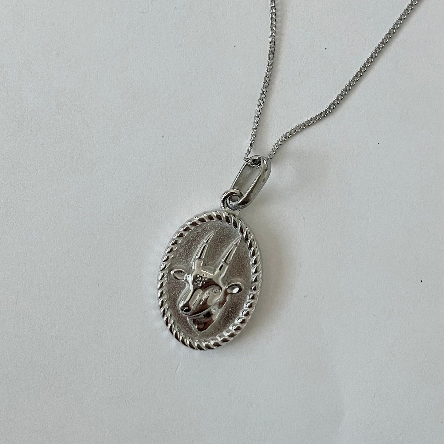 Zodiac 2.0 Necklace - Silver